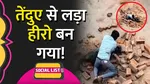 lakhimpur kheri video