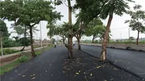 Rupees 100 Crore Road Built In Bihar Problem Nobody Cut Trees In The Middle