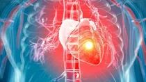 karnataka hassan heart attack youth bengaluru