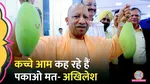CM Yogi Adityanath shared a photo of mango, Akhilesh Yadav REPLY