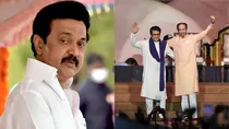 Tamil Nadu dmk MK Stalin congratulated Uddhav and Raj Thackeray reunion hindi vs Marathi