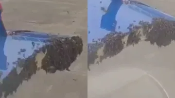 post-main-image