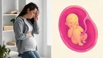 how stress affects the baby during pregnancy