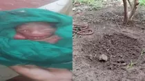 Baby Declared Dead Found Alive 