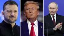 Volodymyr Zelenskyy vladimir putin donald trump 
