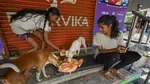 Supreme Court Hearing On Feeding Stray Dogs, Ask Noida Woman To Feed Them In Her House
