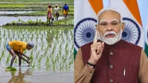 Narendra Modi, Narendra Modi Government, Cabinet Meeting 