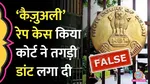woman in Delhi casually filed a serious sexual assault FIR against her partner