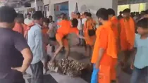 Kanwariya Beats CRPF Jawan, Kanwariya Beats, Kanwariya News, Kanwar Yatra