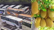 Kerala Driver Eat Jackfruit Failed In Breathalyzer Test
