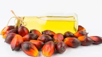 is palm oil bad for health and why is it not banned in india