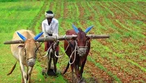mp farmer has annual income of rs 3 Congress says poorest man in India targeting Madhya Pradesh govt