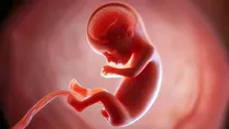 up woman's fetus was growing in liver not in uterus case of ectopic pregnany