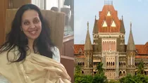 Aarti Sathe, Judge Mumbai High Court, Aarti Sathe Judge, Mumbai High Court, Mumbai High Court Judge, BJP Spokesman