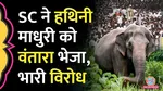 Kolhapur Elephant Protest