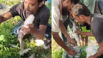 People of Bijnor turned the disaster into an opportunity, started fishing business in the rain