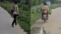 Jhunjhunu villager kills 25 dogs in two days as dogs hunted their goats