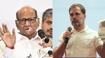 Sharad Pawar Rahul Gandhi Maharashtra Polls, Maharashtra Assembly, Sharad Pawar