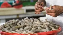 donald trump tarrif shrimp export american market 