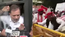 Bihar SIR Opposition Protest March From Parliament To EC Office