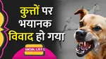 Stray Dogs debate Social list