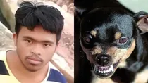 Odisha dog bite killed para athlete