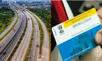 vehicles and Driving Licenses holder