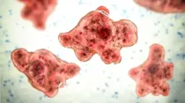 brain eating amoebae in kerala warning by doctors killed nine year old girl