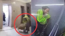 ghaziabad dog bits maid