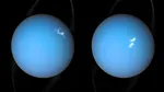NASA Moon Orbiting Uranus