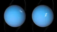 NASA Moon Orbiting Uranus