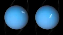NASA Moon Orbiting Uranus