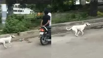lucknow animal cruelty Three boys tied a dog to a rope and ran it video went viral up police
