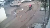 ahmedabad man Dog tied to bike and dragged on road video viral