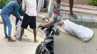 kanpur youths cruelty against stray dogs video viral case registered