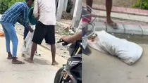 kanpur youths cruelty against stray dogs video viral case registered