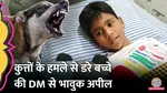 bareilly boy scared of stray dogs says wont go to school till action taken