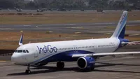  Turkish Airlines planes