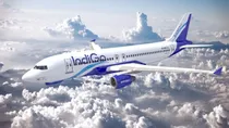Drunk Lawyer Chants Har Har Mahadev On Delhi-Kolkata IndiGo Flight Chaos Erupts