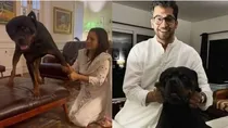 Jai Dehadrai Mahua Moitra Delhi High Court pet dog custody battle