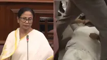 Mamata Banerjee fiery speech in Assembly BJP chief whip injured amid uproar