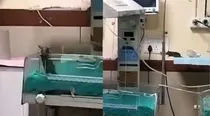 baby dies after rat bite at Indore hospital