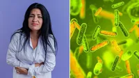 how toxins found in food harm your body