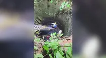 madhya pradesh man body found in well killed by wife lover found by second wife