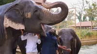 Vantaras Acquisition Of Animals As Per Regulations Supreme Court Accepts SIT Report