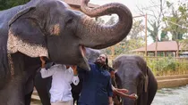 Vantaras Acquisition Of Animals As Per Regulations Supreme Court Accepts SIT Report