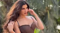 Jacqueline Fernandez Supreme Court 215 Crore ED Case