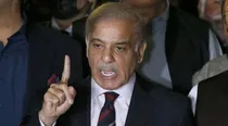 Shehbaz Sharif Kashmir and Gaza war 