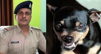 ahmedabad police inspector dies of rabies after pet dog scratch