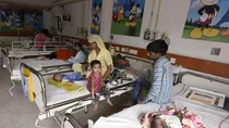 14 children die of acute encephalitis syndrome in madhya pradesh and maharashtra